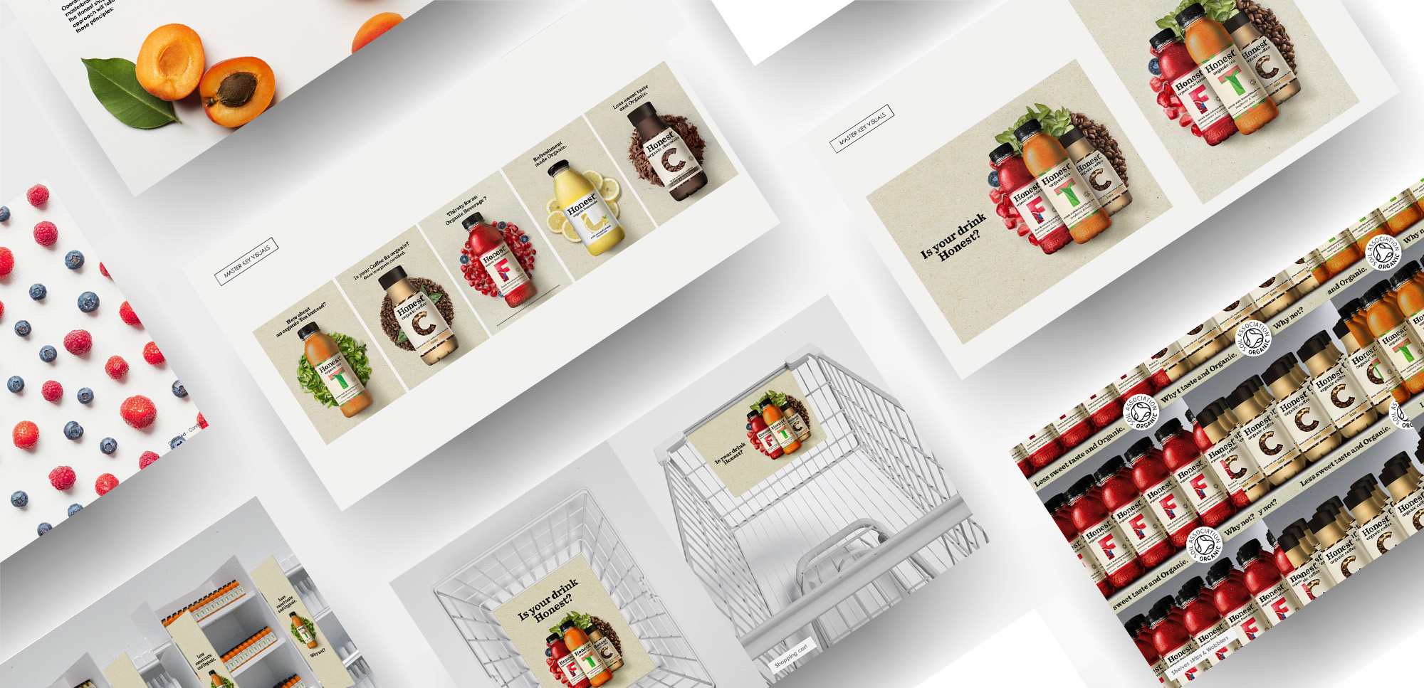 orchid-coca-cola-case-study-slider